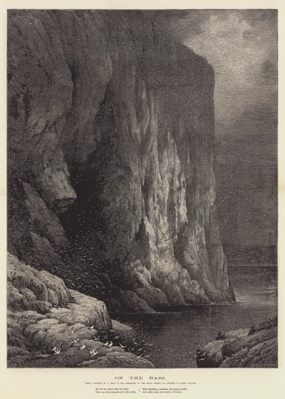 Sul basso, nell